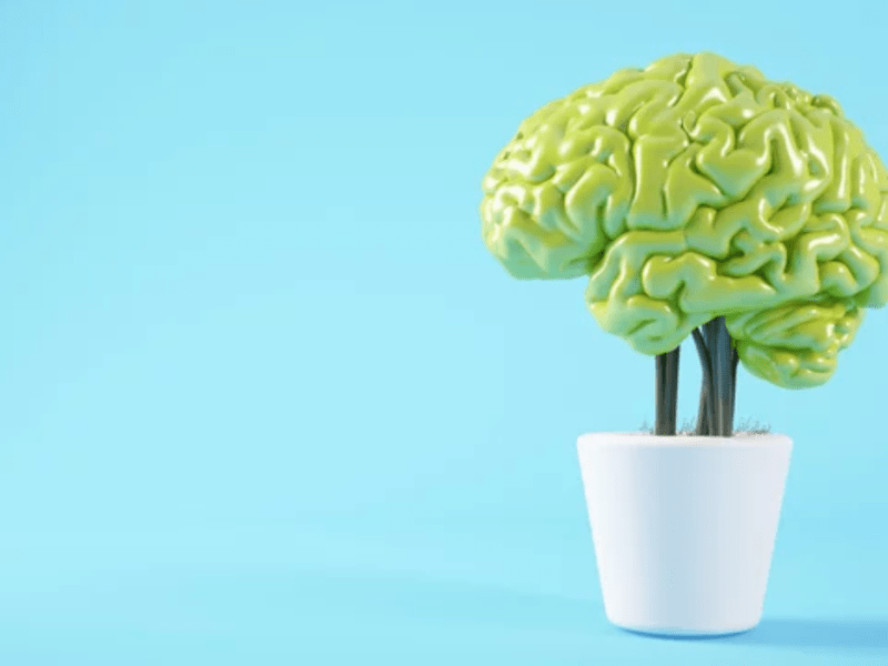 When Technology Imitates&nbsp;Life