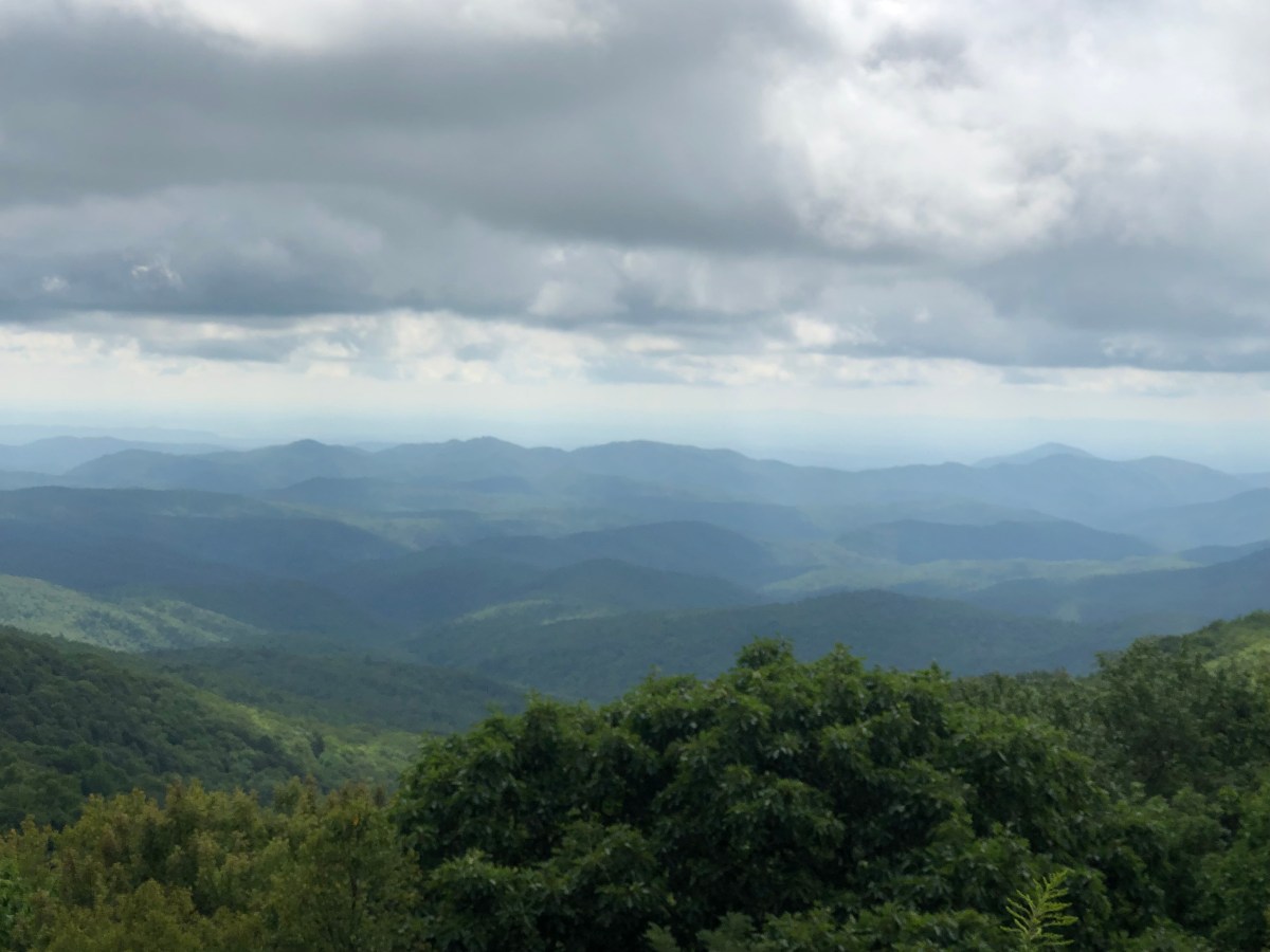 Climbing The Corporate&nbsp;Ladder